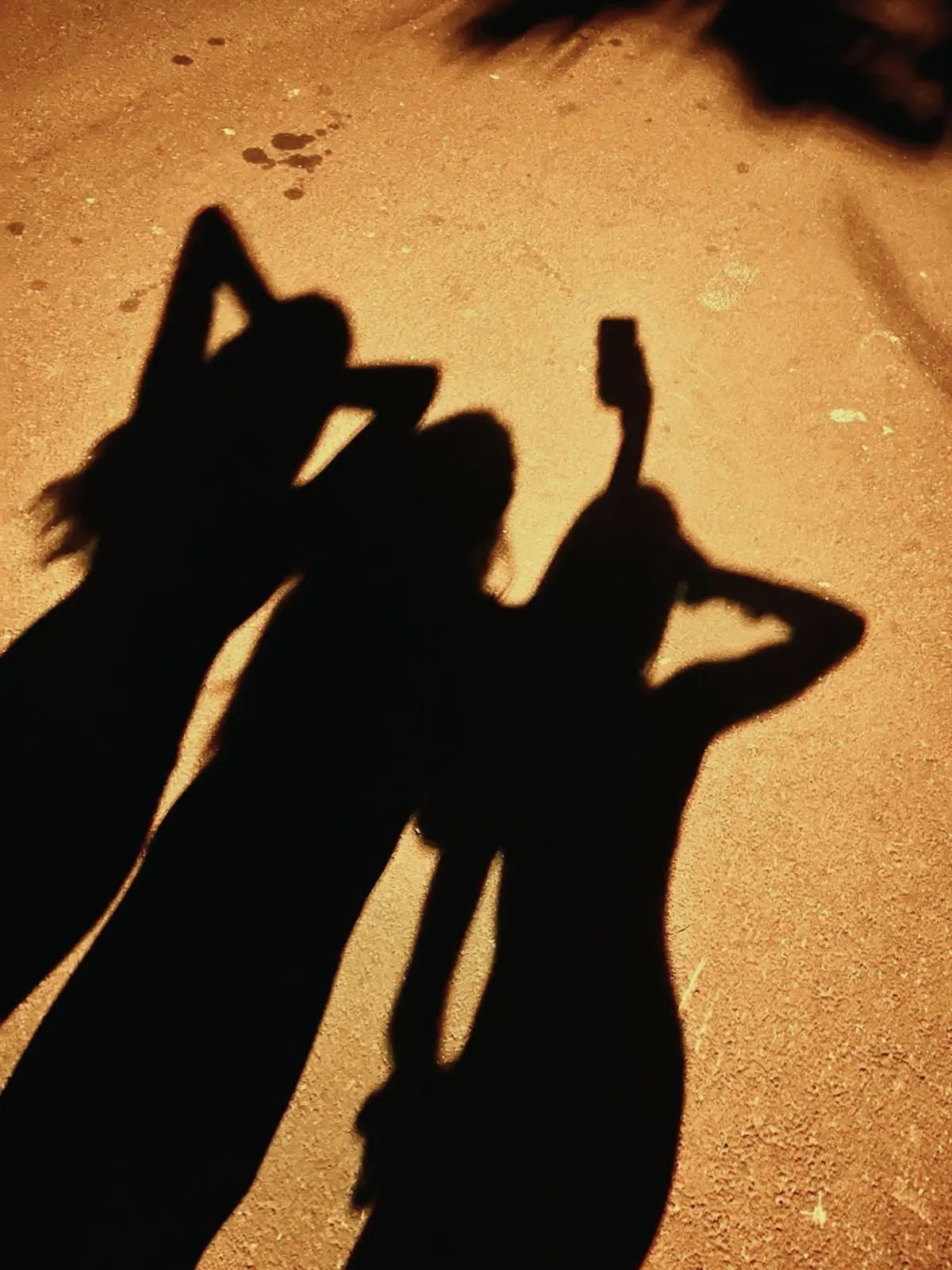 MerryFlea7358의 sisters