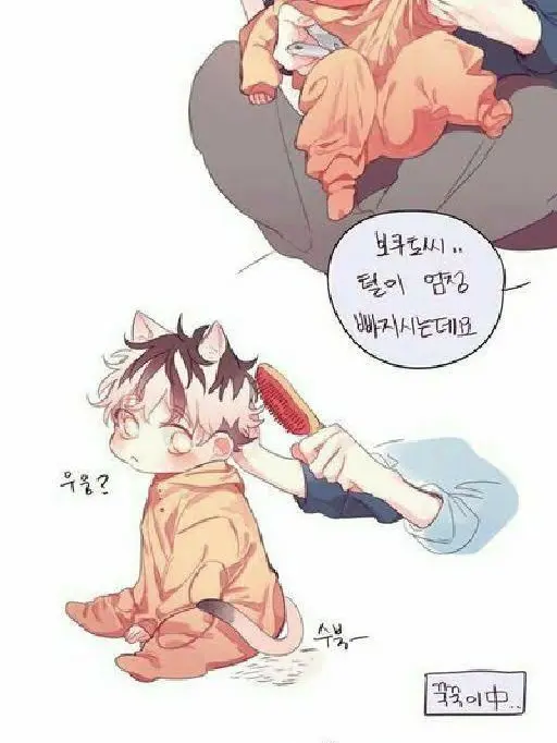 HAIKYI_ii의 아깽이 보쿠토 돌보기(with아카아시