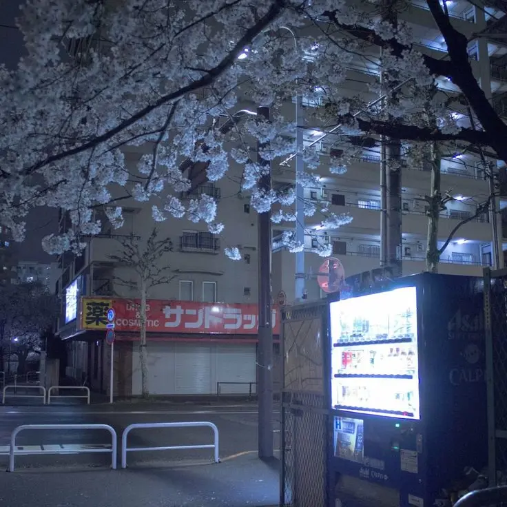 Da_s.om2의 쿠로카와 이자나