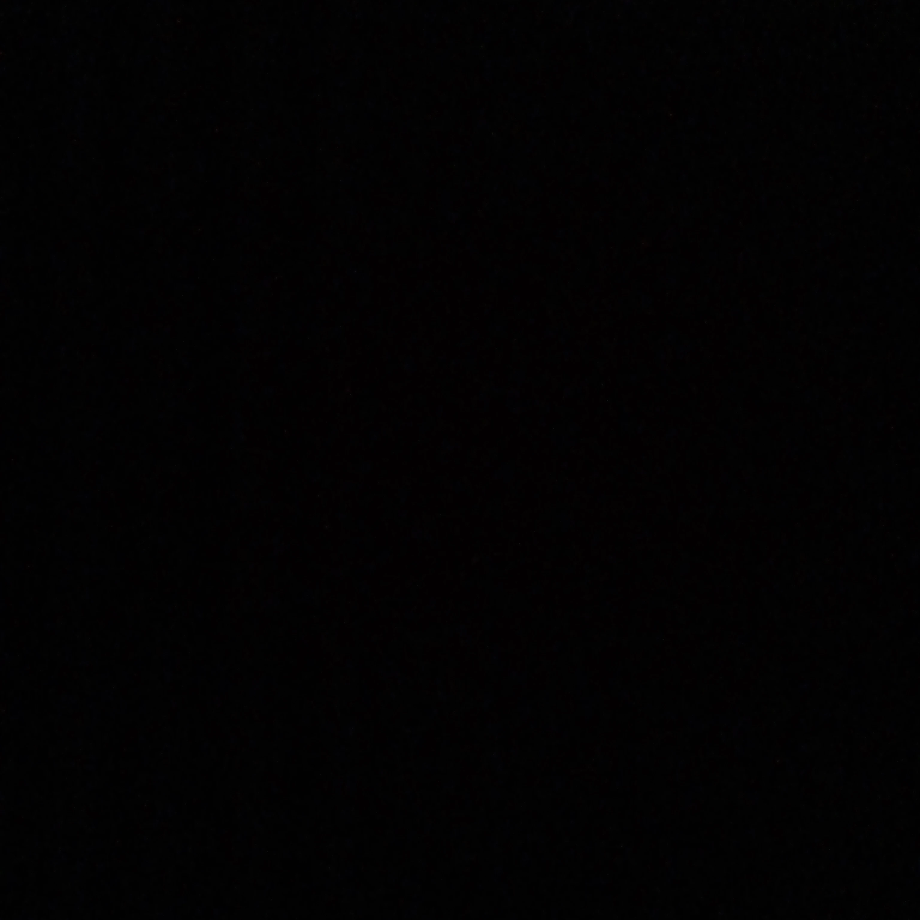 パッパさんがメイド服！？