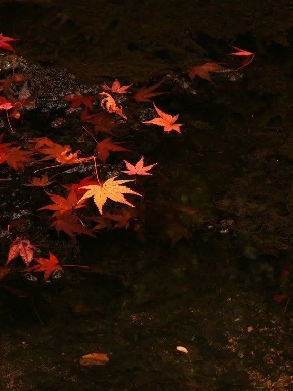 Gu_one의 이도