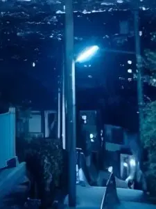 seno_2525의 🗡️　‪𓂃 ⸝⸝⟡.·