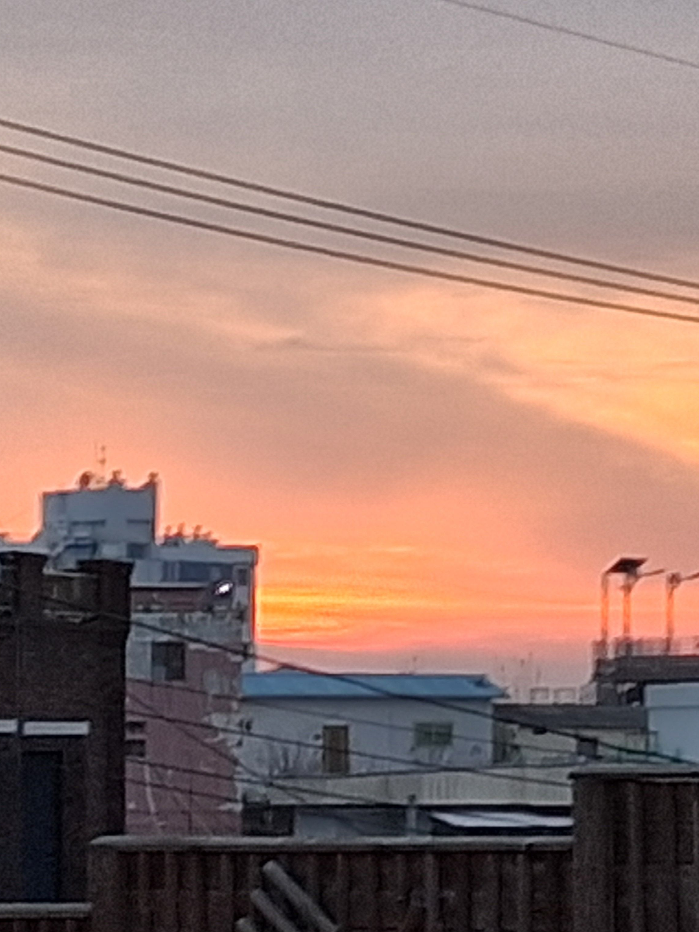 고고프렌즈!! 대표 이미지