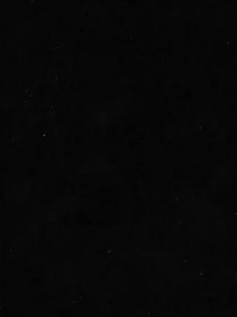 Higanmaru1-09의 怪獣8号