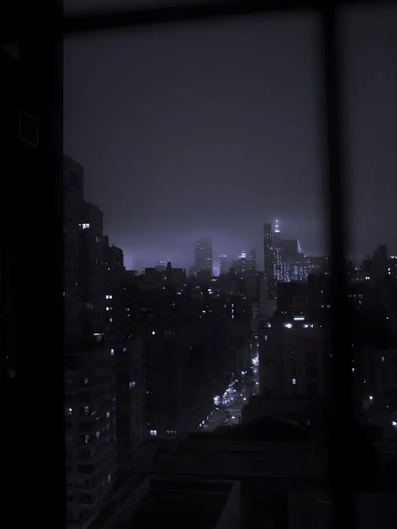 PrimEider2733의 ⁺‧₊˚ ཐི⋆৻ꪆ⋆ཋྀ ˚₊‧⁺