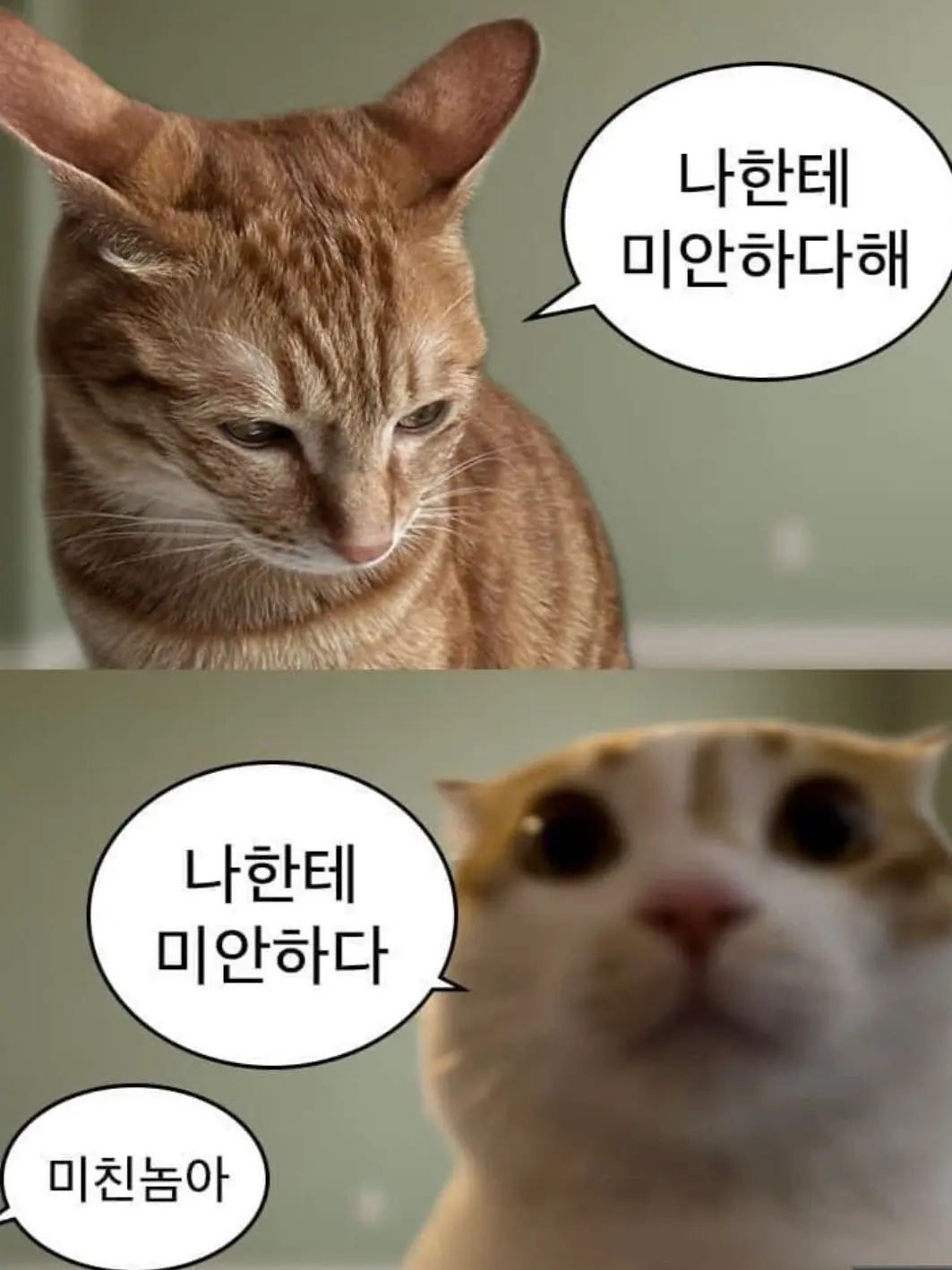 Longggg의 친절이 없는곳에서 친절을!