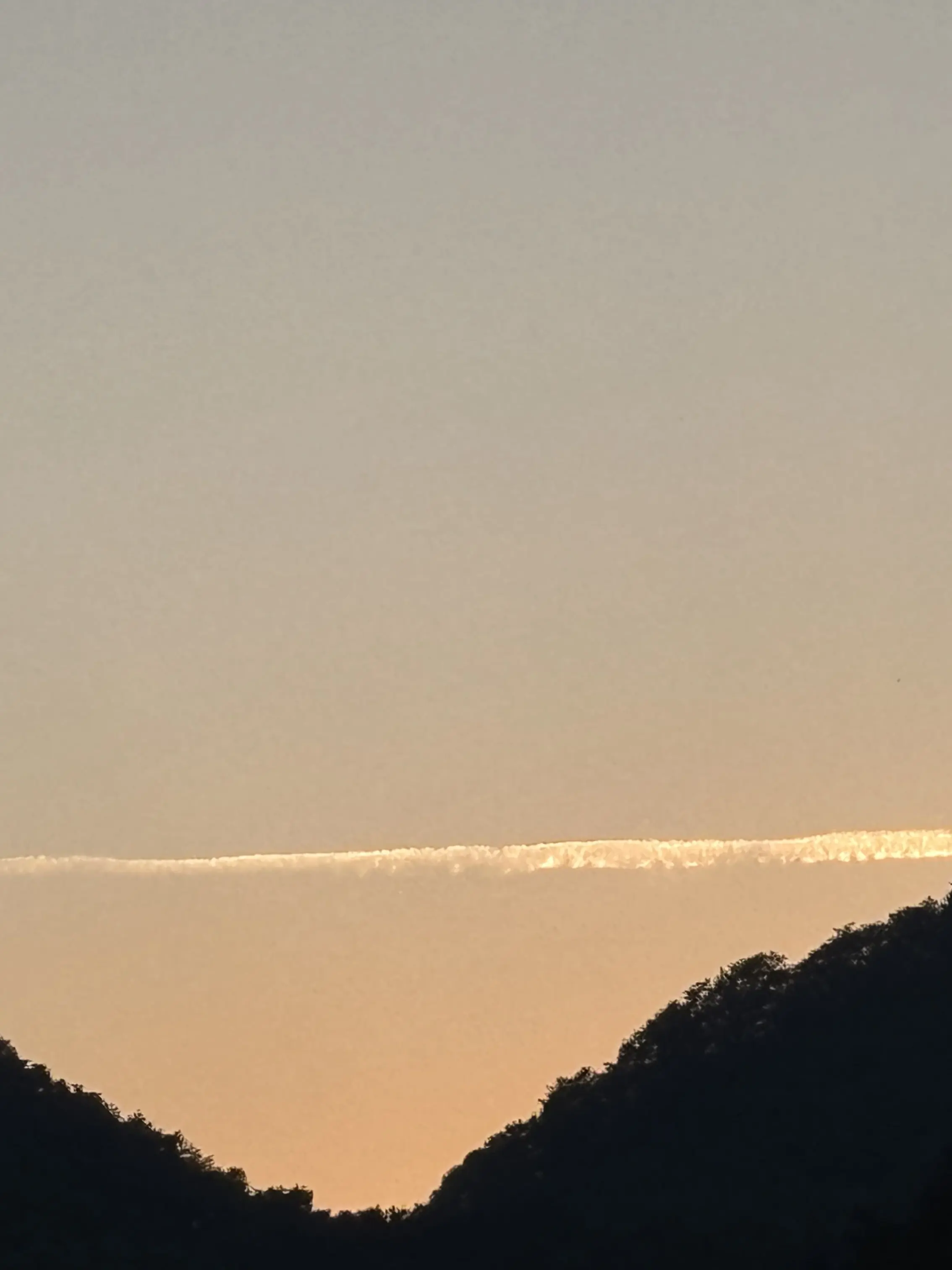 SalmonWeek7464의 淡い夏