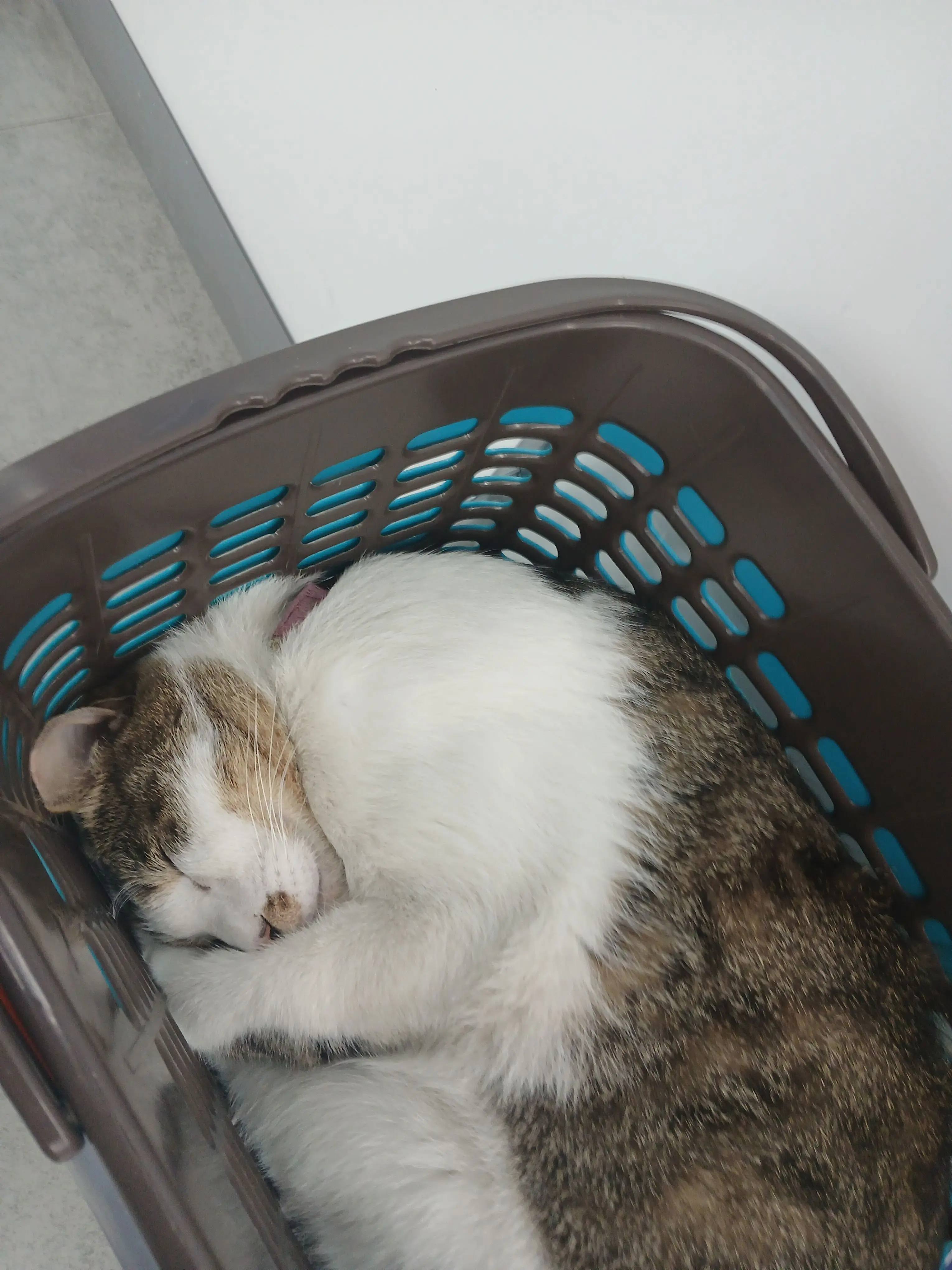 CleanMug4349의 뜰팁 암살 대학