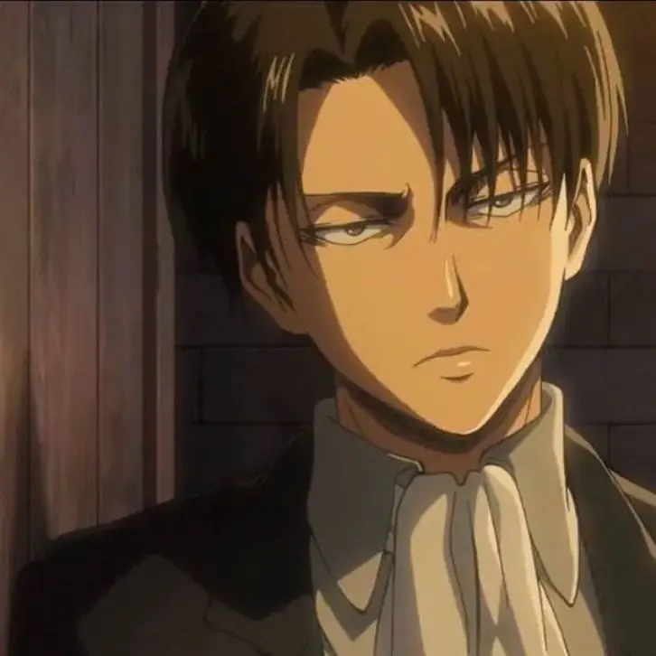 UntidyTongs7339의 리바이 아커만