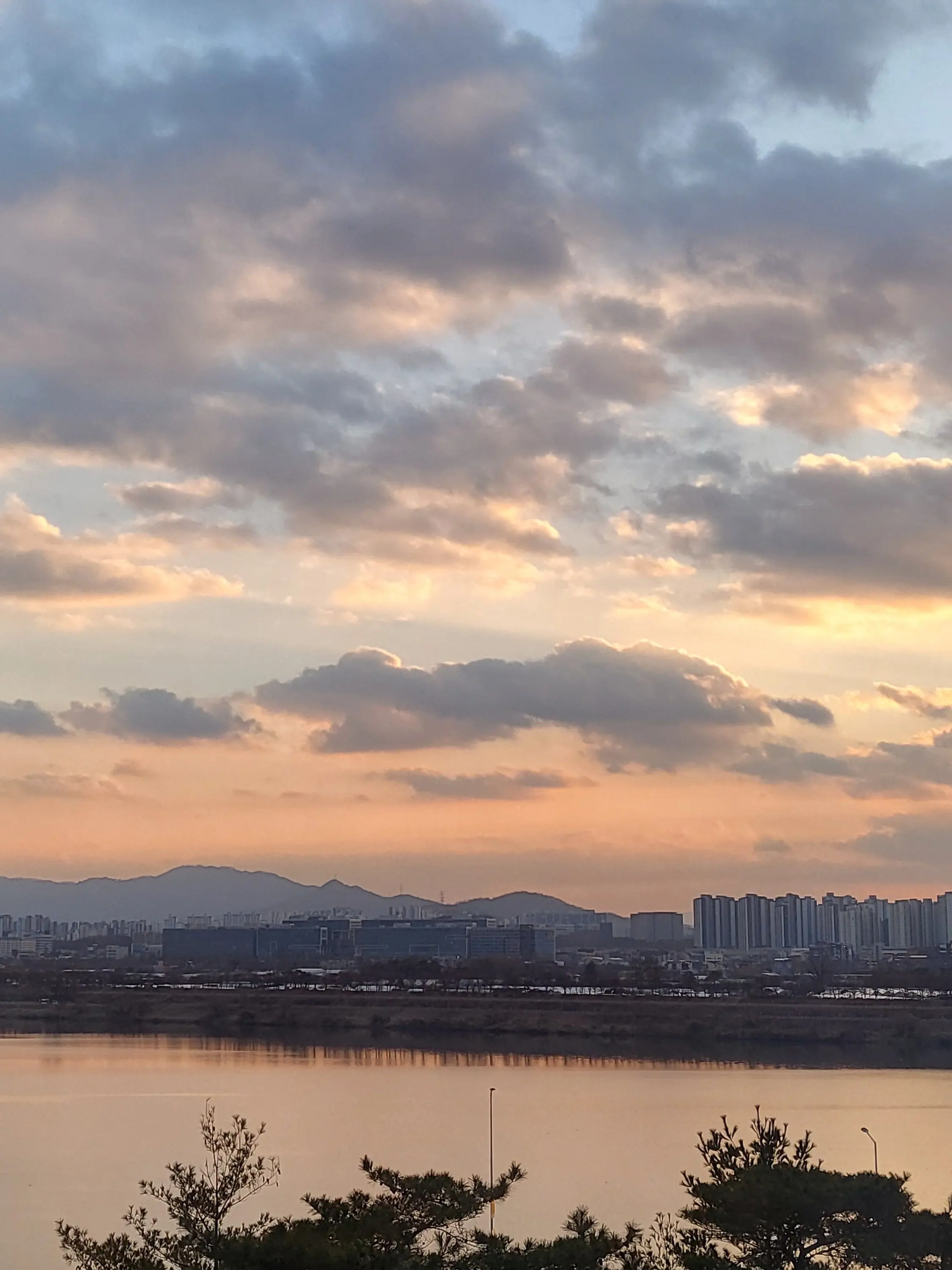 Manghatda의 메이즈러너-스코치 트라이얼