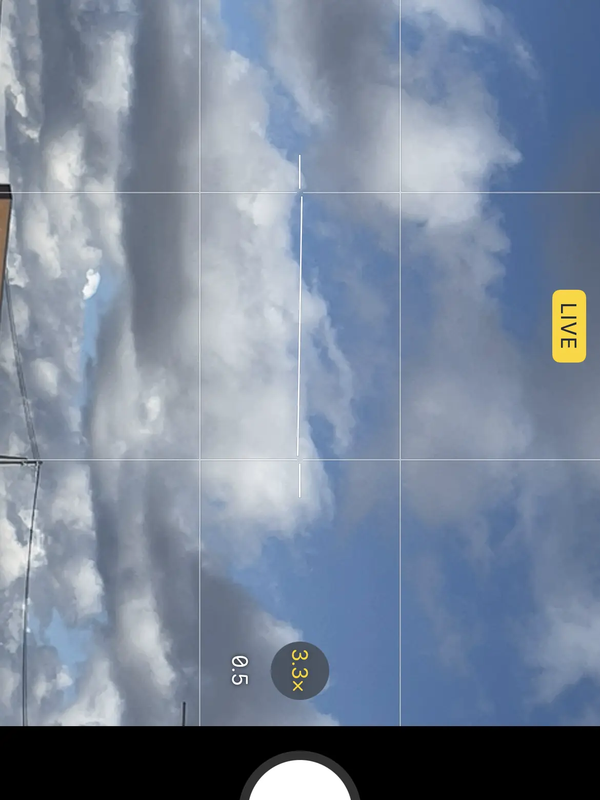 Gh0stX의 🐿🦟してるくーちゃんを止めなさい！☆