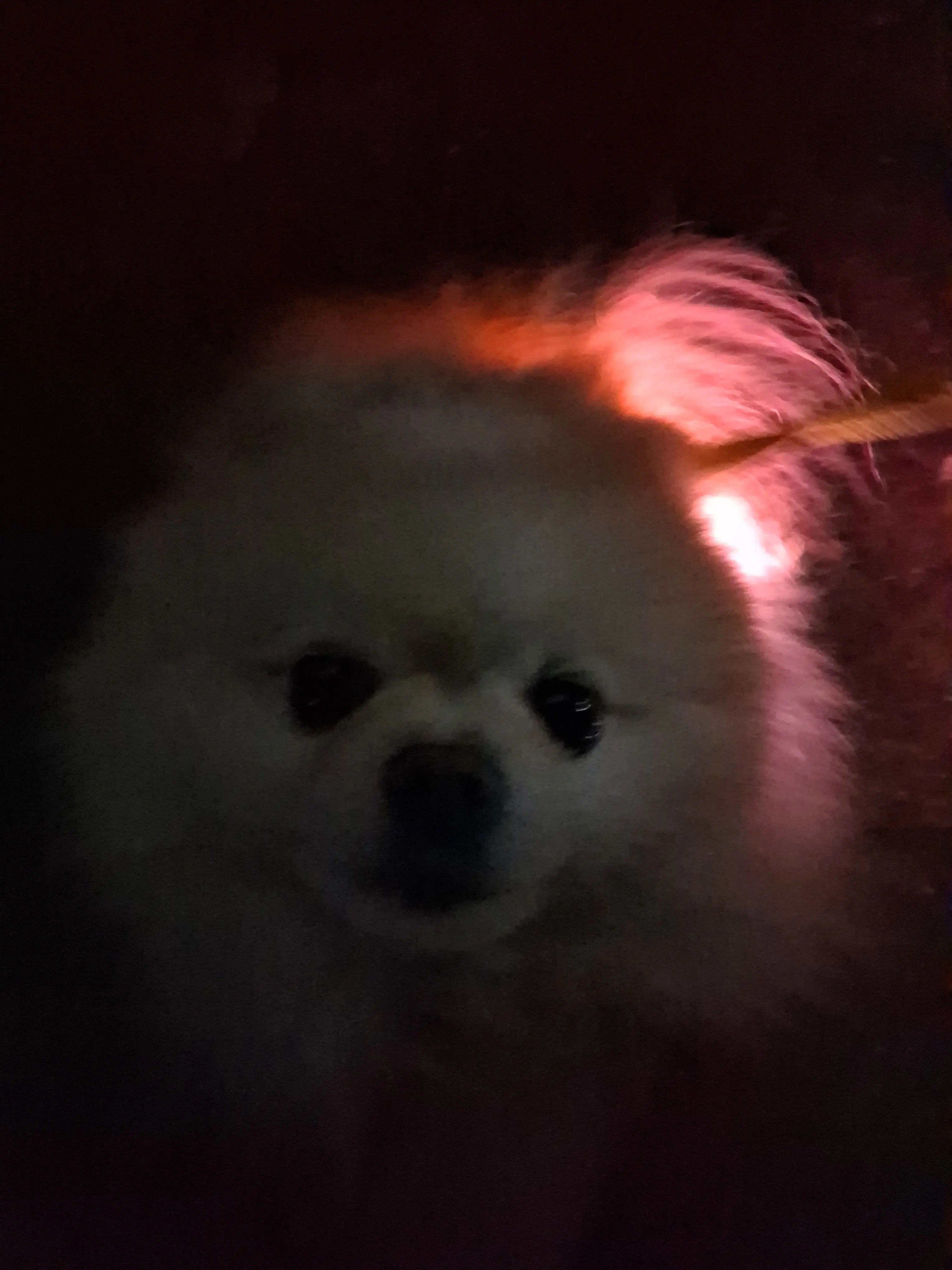 RoundHyena8623의 귀멸의칼날 여우새끼 때문에모두다지친다