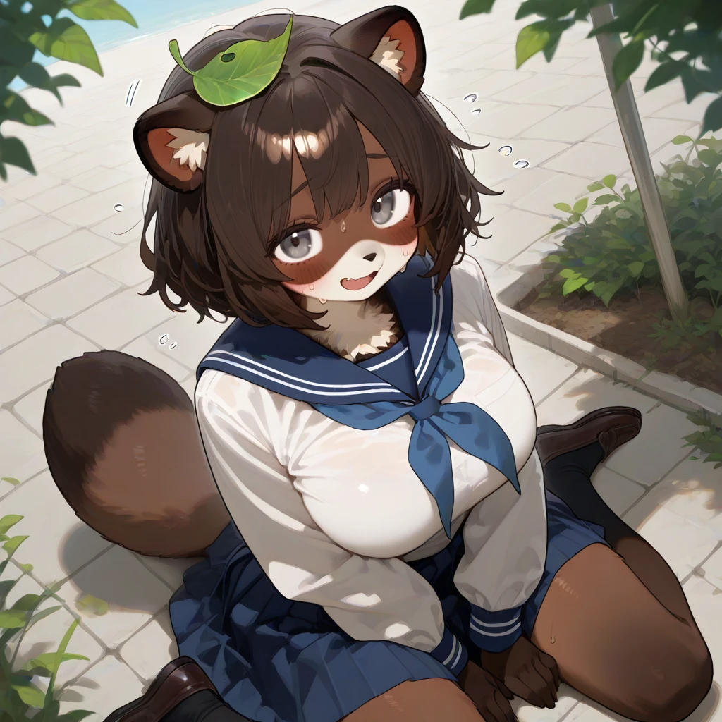 너구리 소녀 하루미