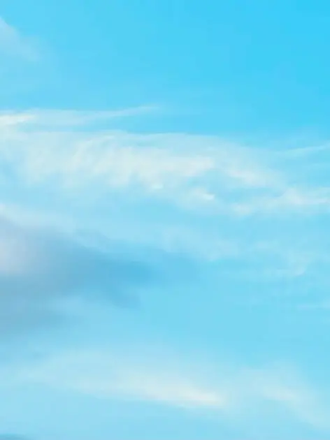 PoliteWiper2048의 無茶苦茶にしてくれないかい？