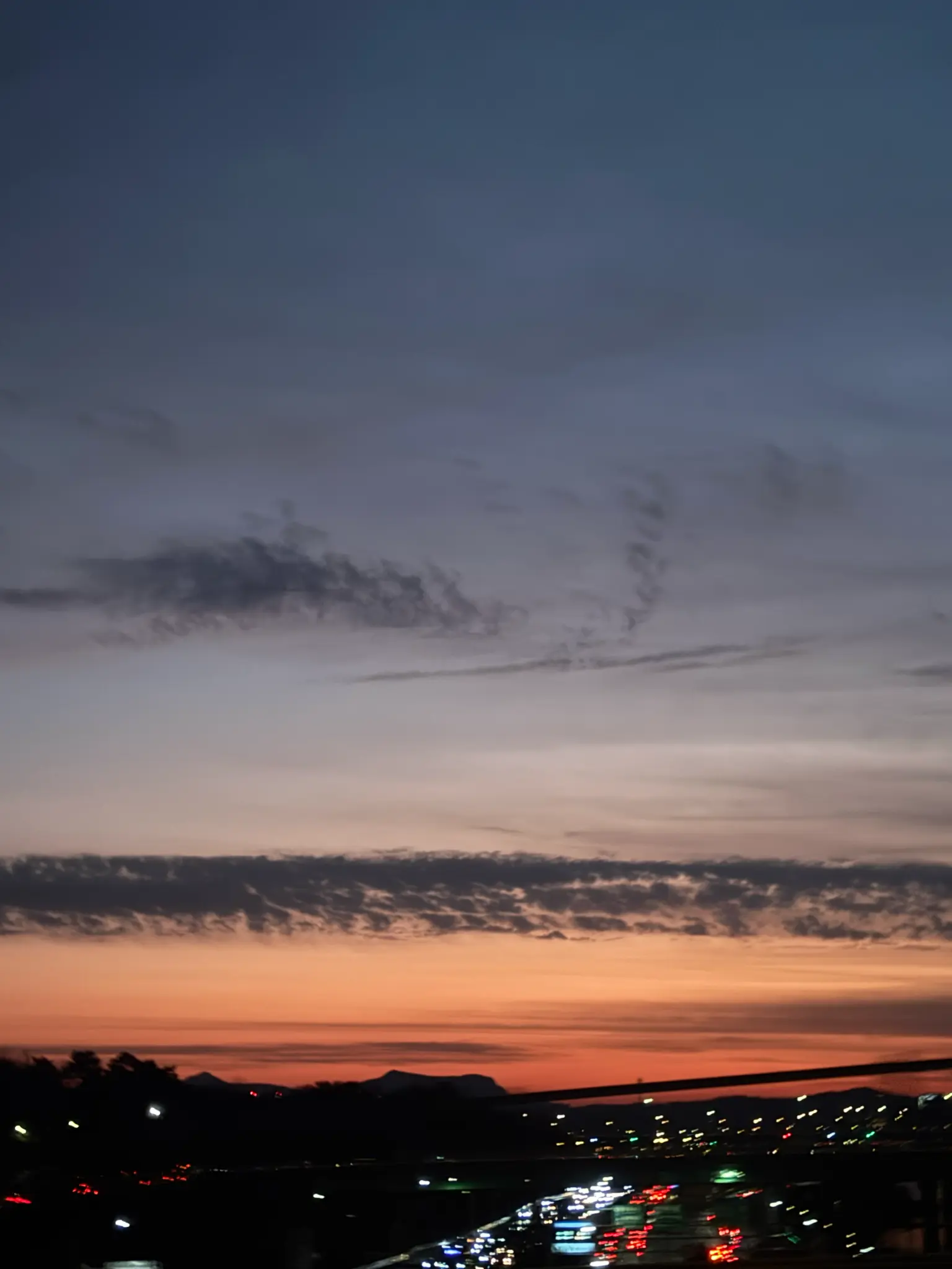 CAMARA1245의 친구들