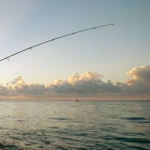 월척이구나~! ...응? 이건 뭐야.