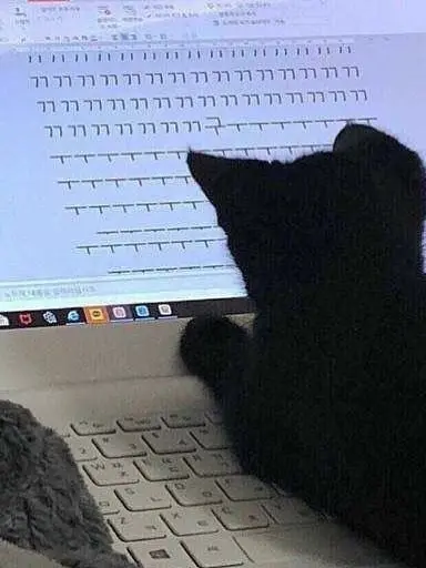 Sambaka의 아이자와 " 쇼타 ".