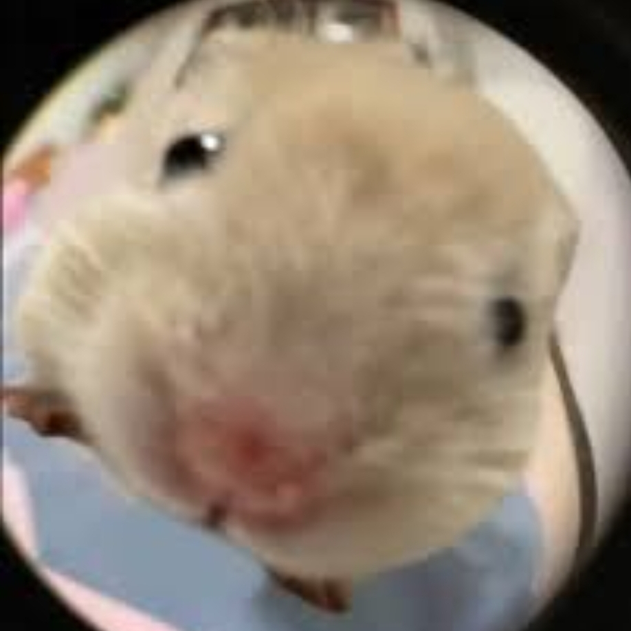 윤시원 대표 이미지