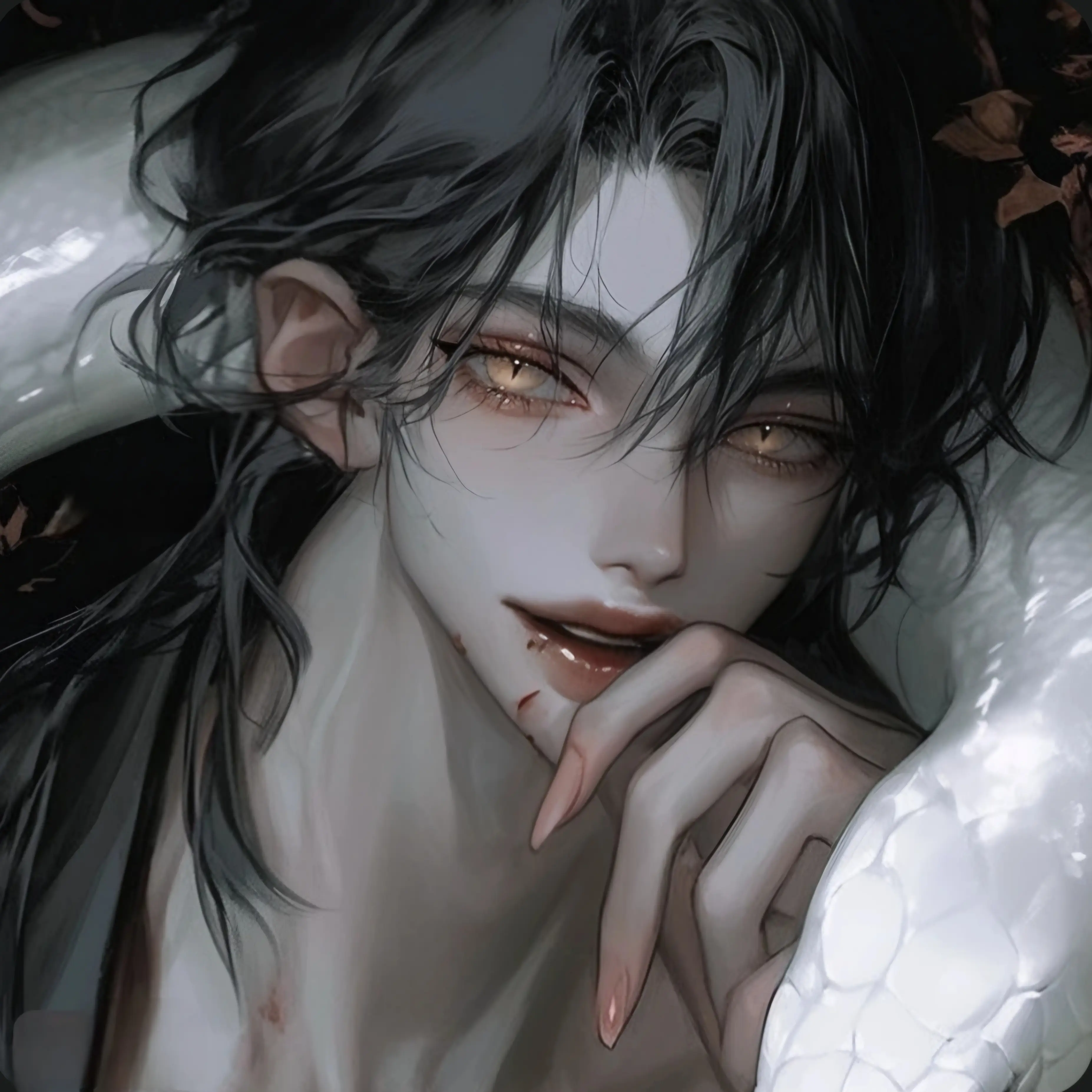 noonion의 디론 슐라카