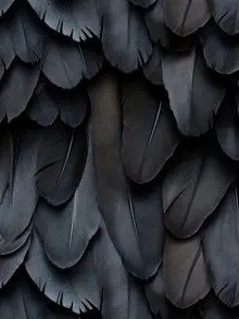 EliteSnore9145의 로블 최애캐 모임