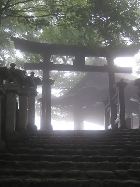 plant___0x0의 いじめられっ子と1000年生きている妖狐