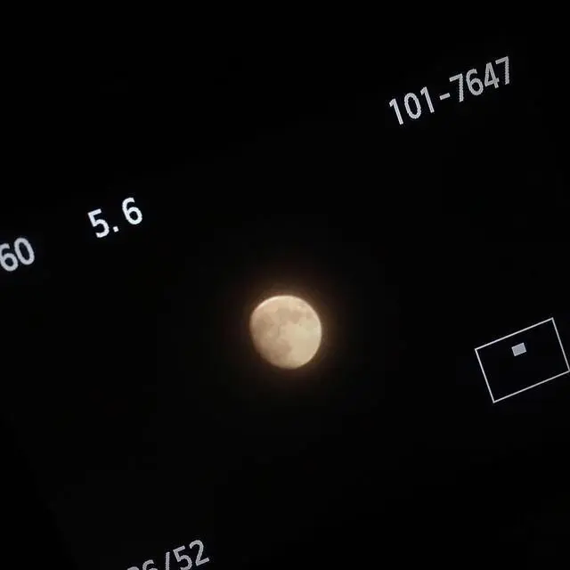 Munyae_의 정 형준