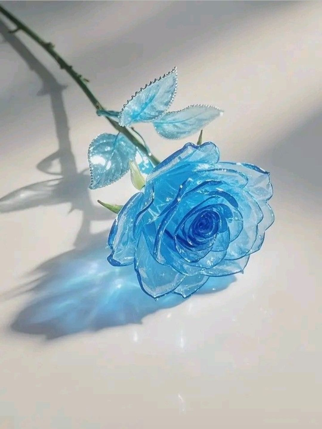 수상한 이웃집 대표 이미지