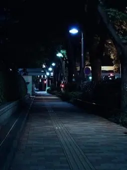 hanatya의 性的な事が許される街。