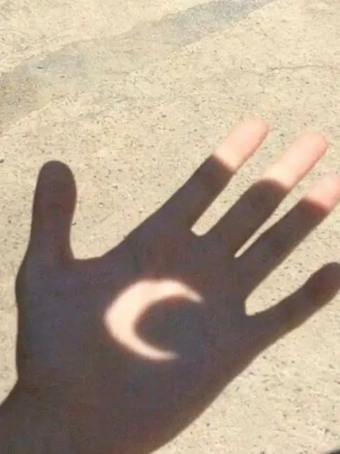 SecureGnat3220의 세상에서 가장 어려운 임무를 받았다