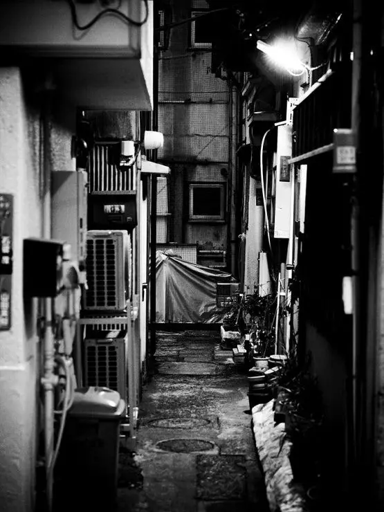 NOlSE의 개자식아.