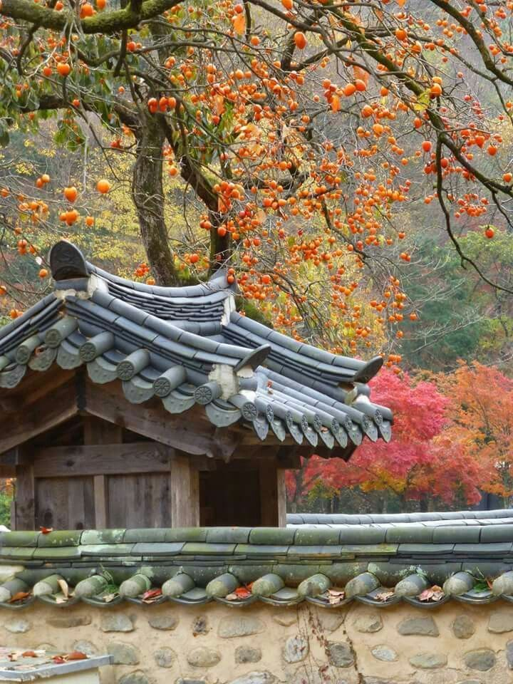 . 대표 이미지