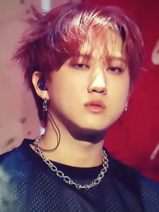 AgileWiper5078의 Changbin likes you