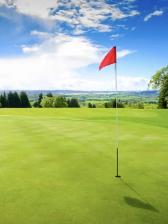 VastBass8335의 Road to the PGA