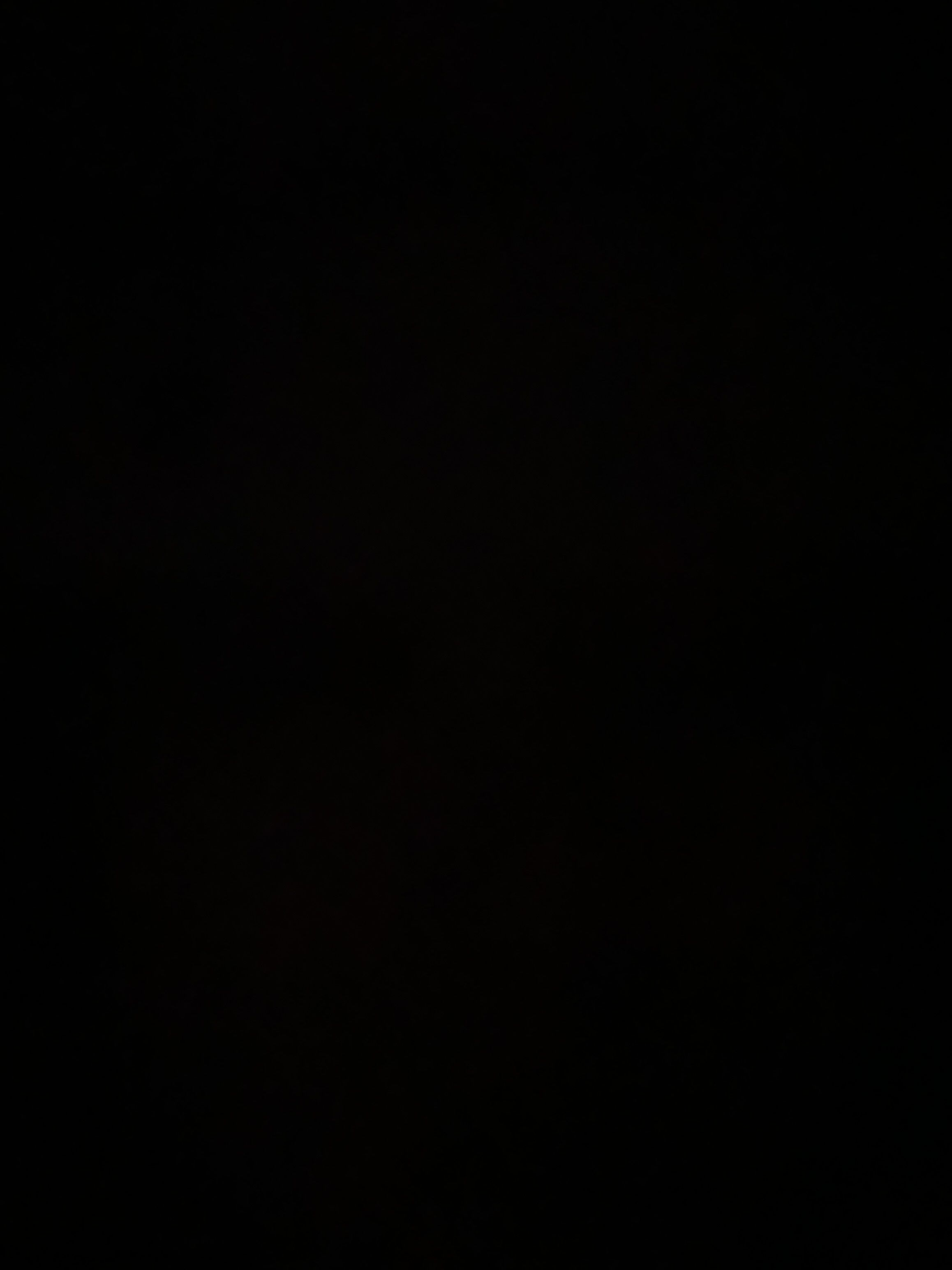 차니 대표 이미지
