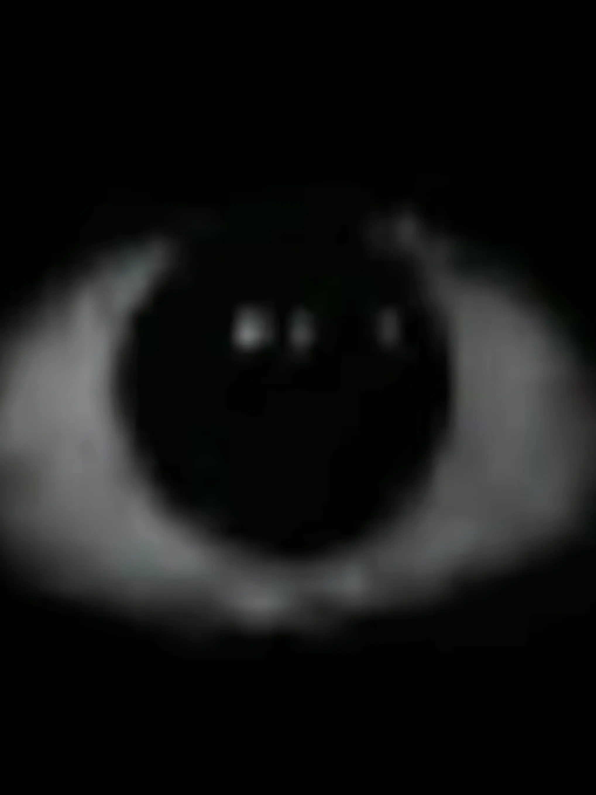 hello12345678910의 제 최애들과 같이 난리 피우세요(?)