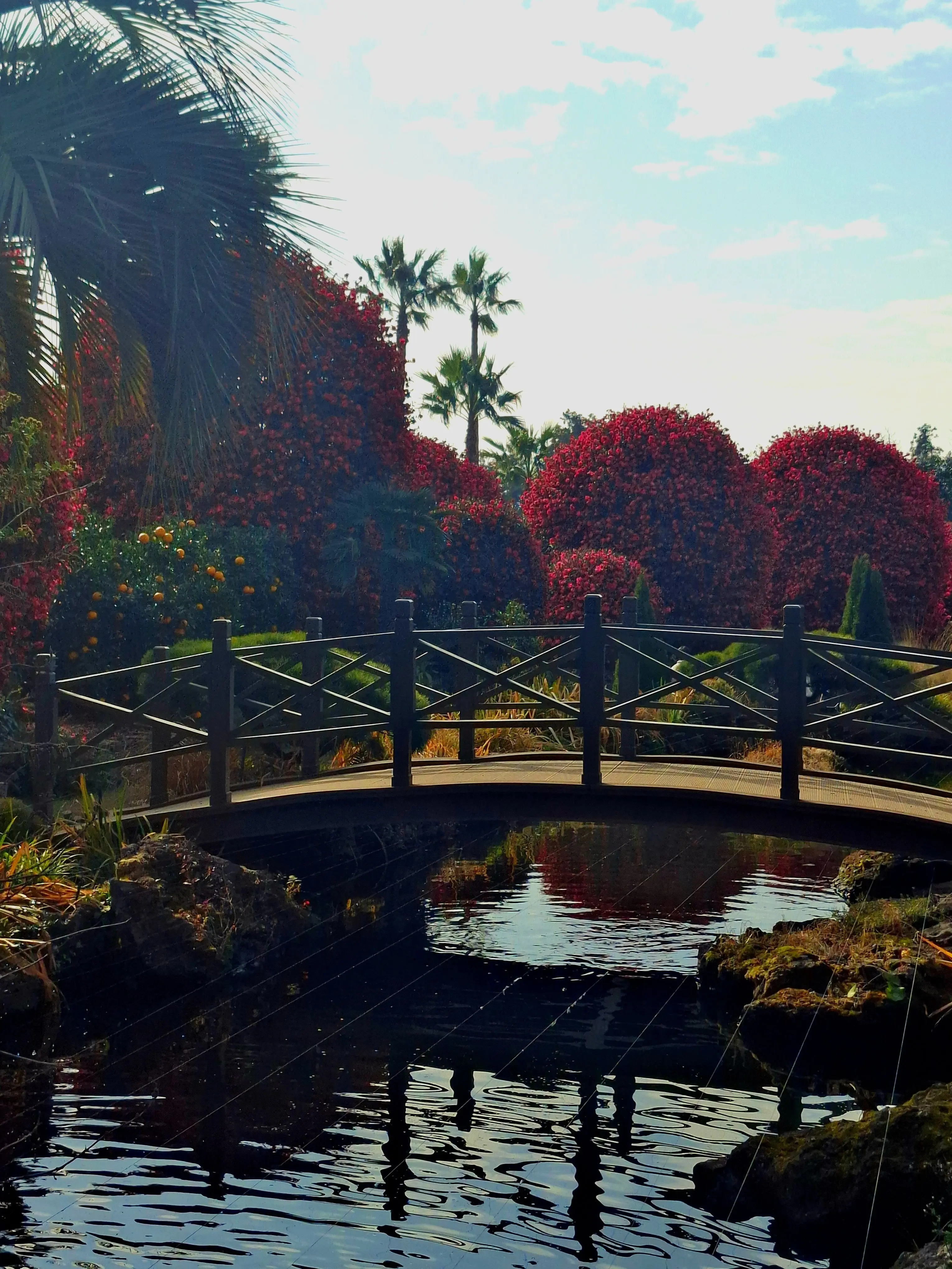 pqowieuryt.love의 𝕨𝕠𝕟𝕕𝕖𝕣𝕝𝕒𝕟𝕕