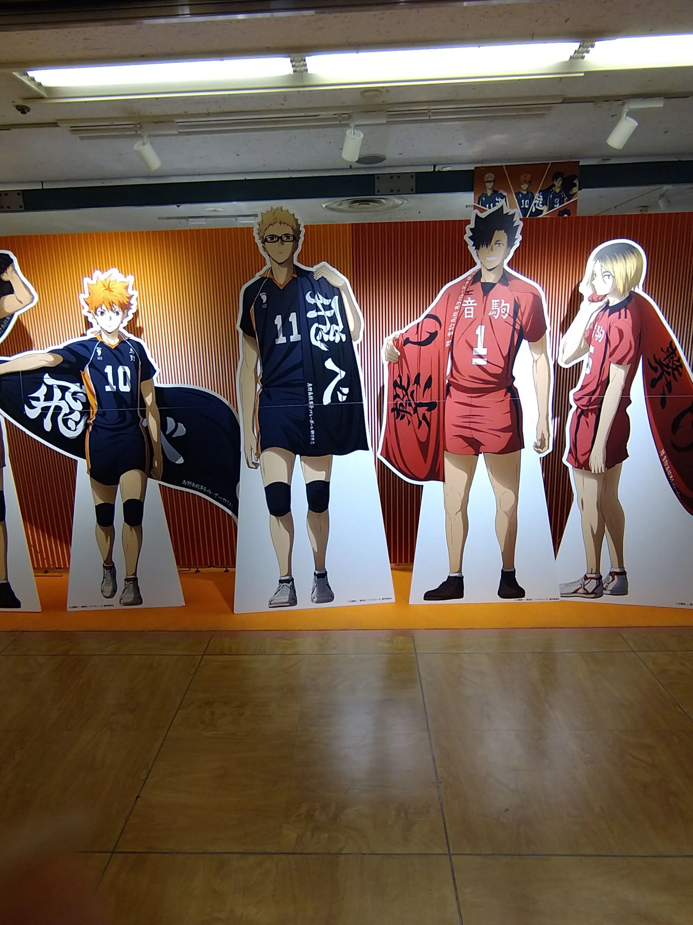 OverlyTrack9460의 ハイキューを語りたい！