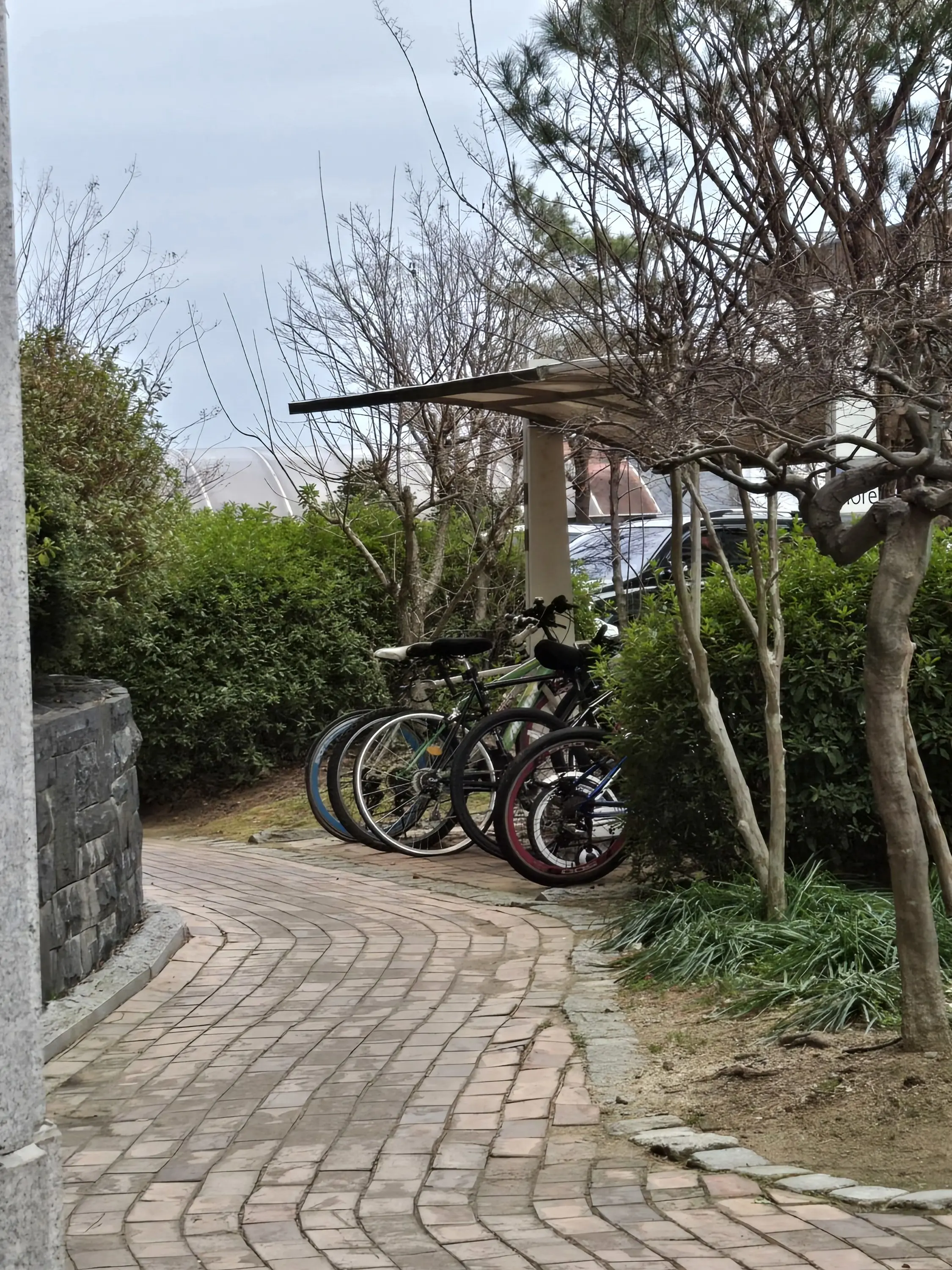 rma_ram의 스코시즘 아이돌!