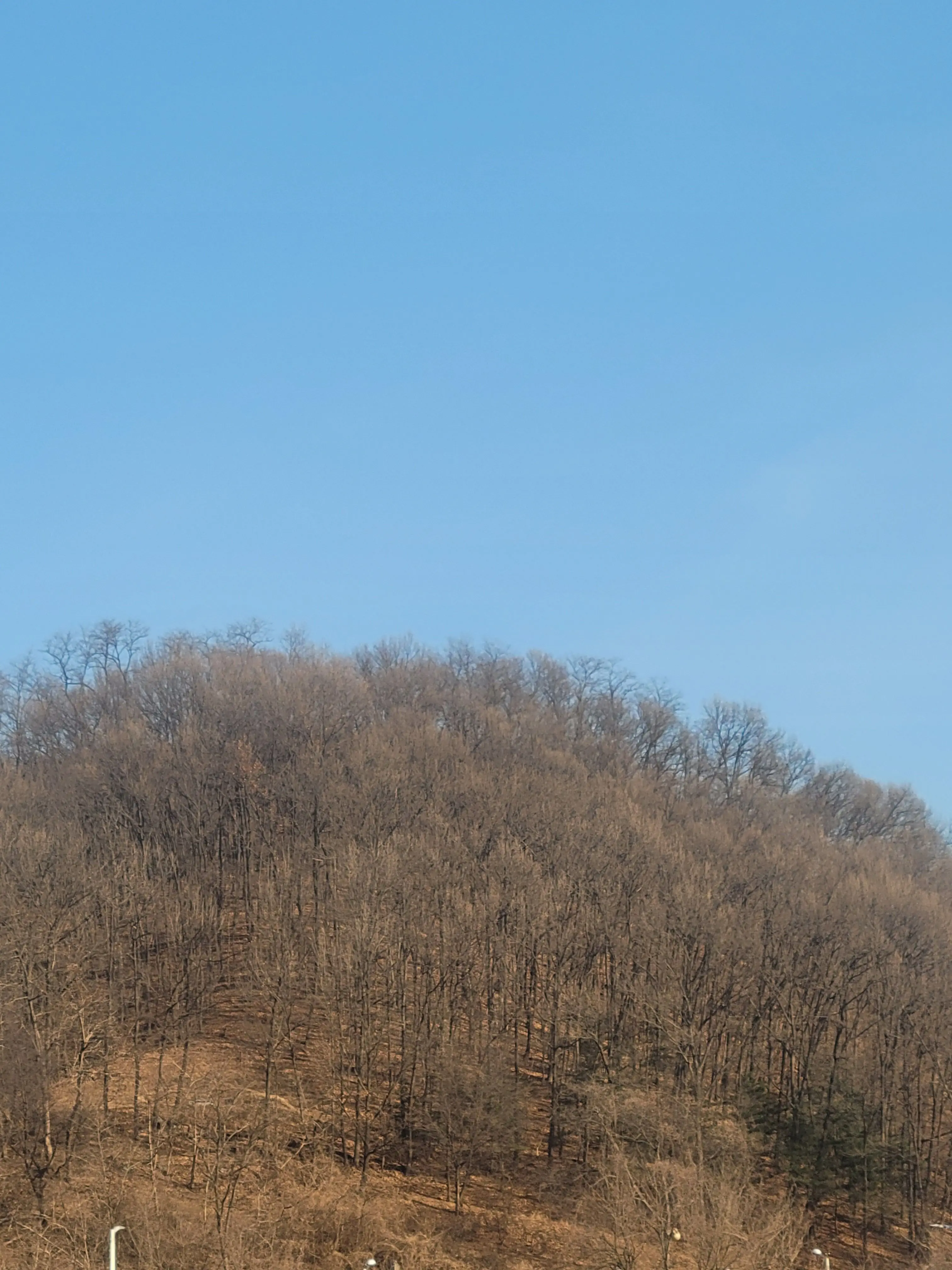 sunmoonfi의 호오...1000명이라....