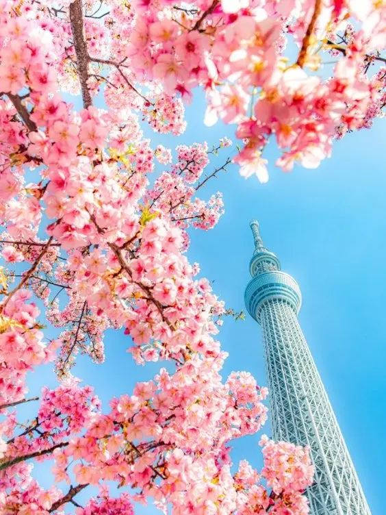 yogmang의 반했을지도 몰라