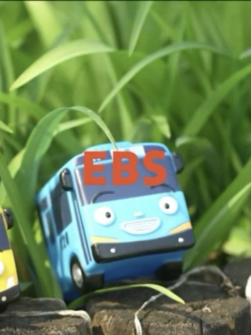 EBS 중학교 대표 이미지