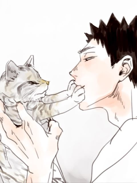 이와이즈미 간택하기 대표 이미지