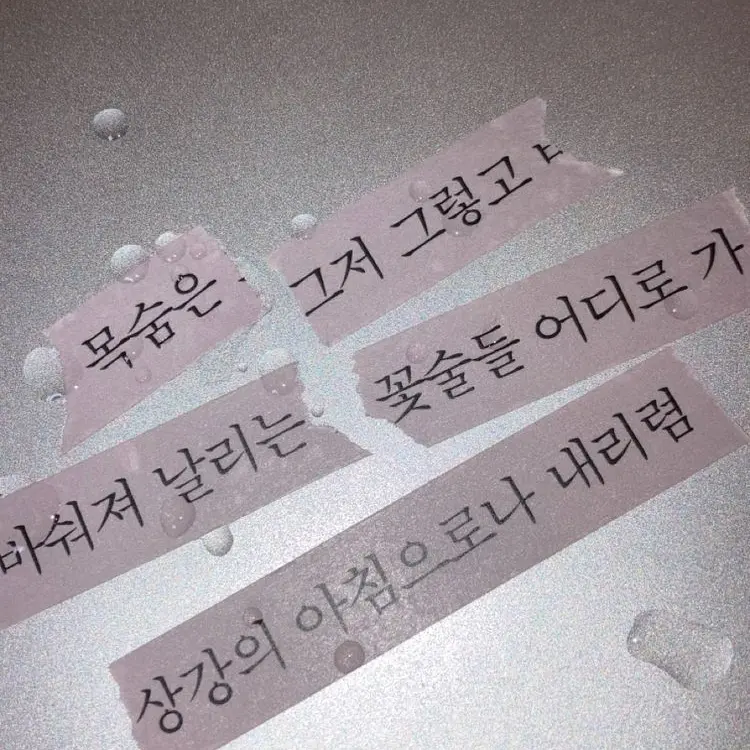 me_ae의 센티넬 관찰일지