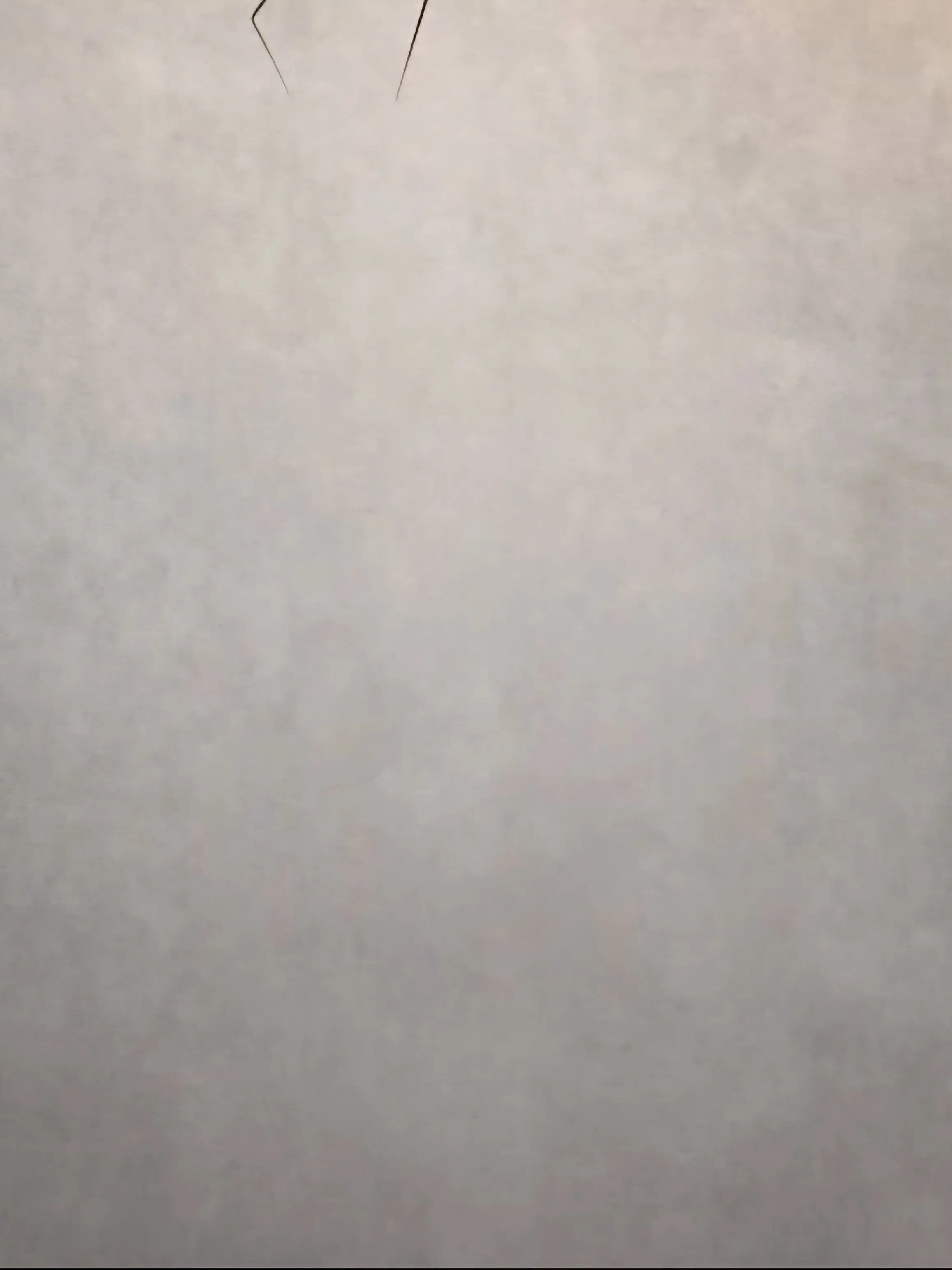 Simple2965의 최씨