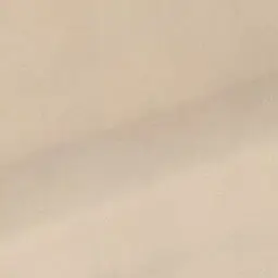 UsablePlant8805의 弟みたいな幼馴染がちょっとへんです！