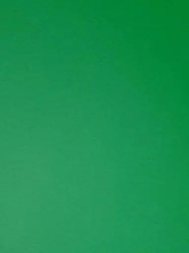 CoarseBread4719의 장난꾸러기 소꿉친구🦖