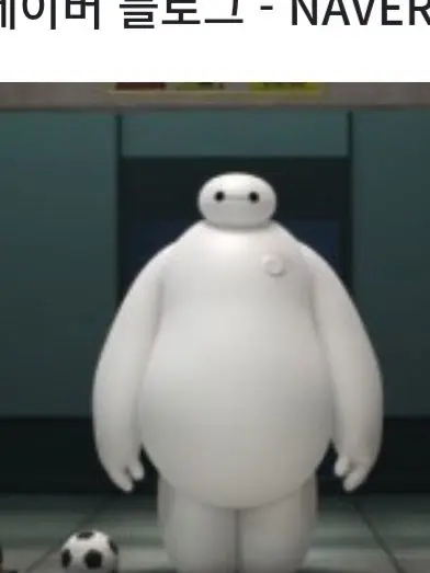 BouncySugar8681의 베이맥스와 동거