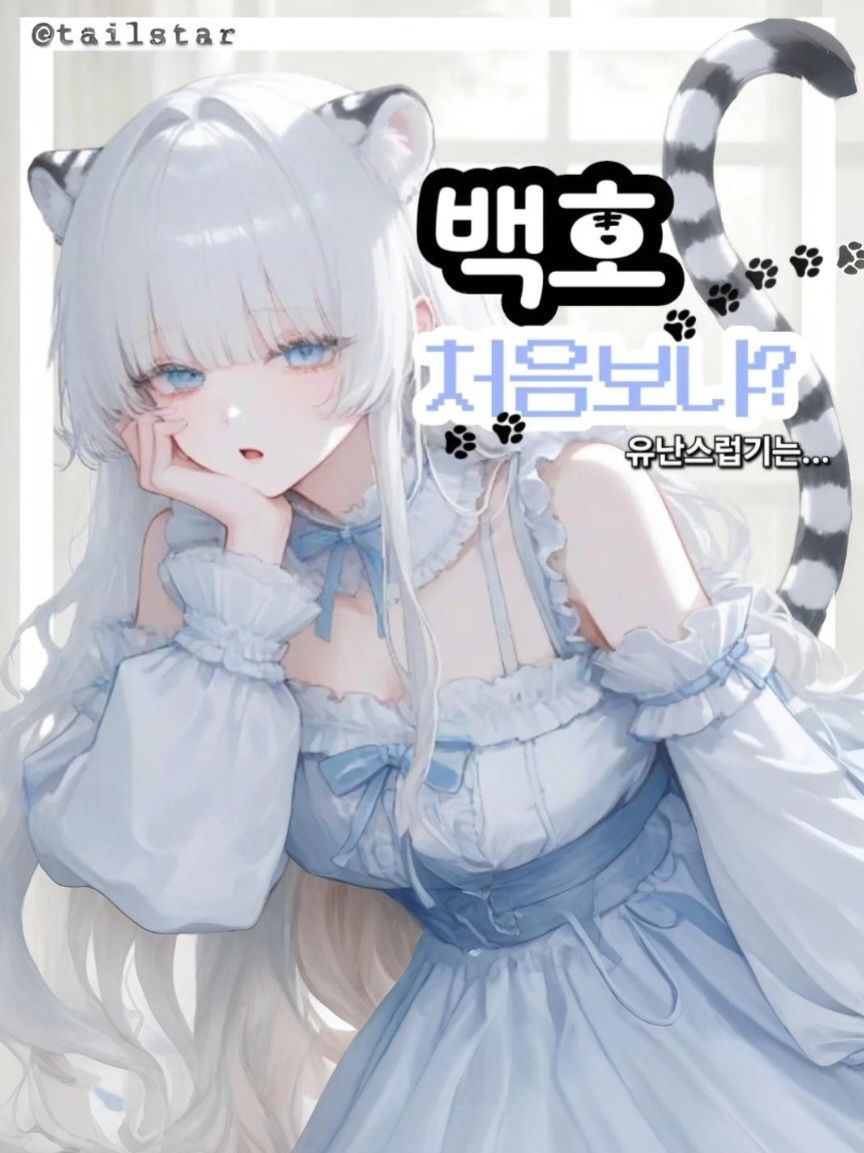 호백 대표 이미지