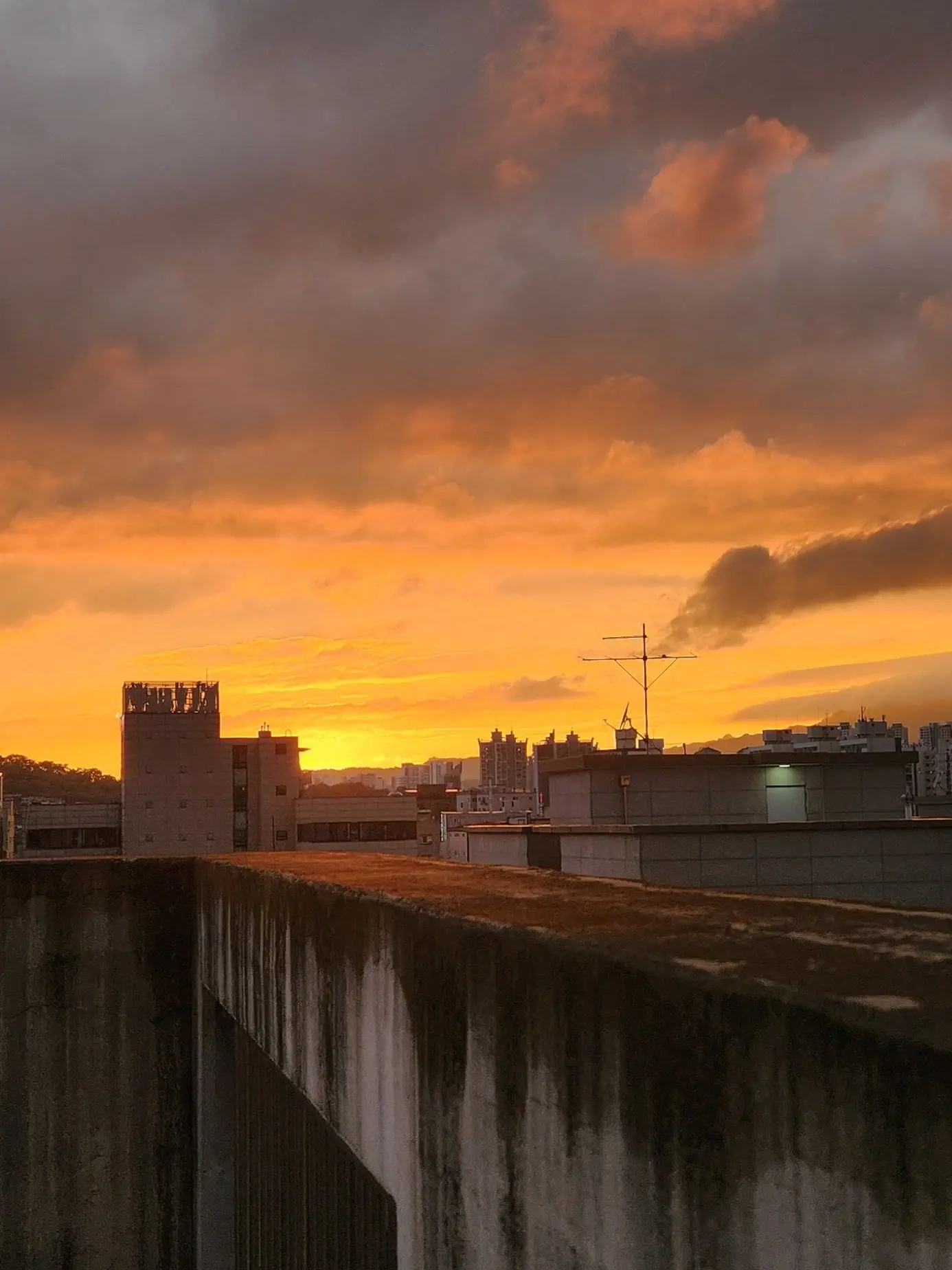 uni.tmiho의 리레볼루션