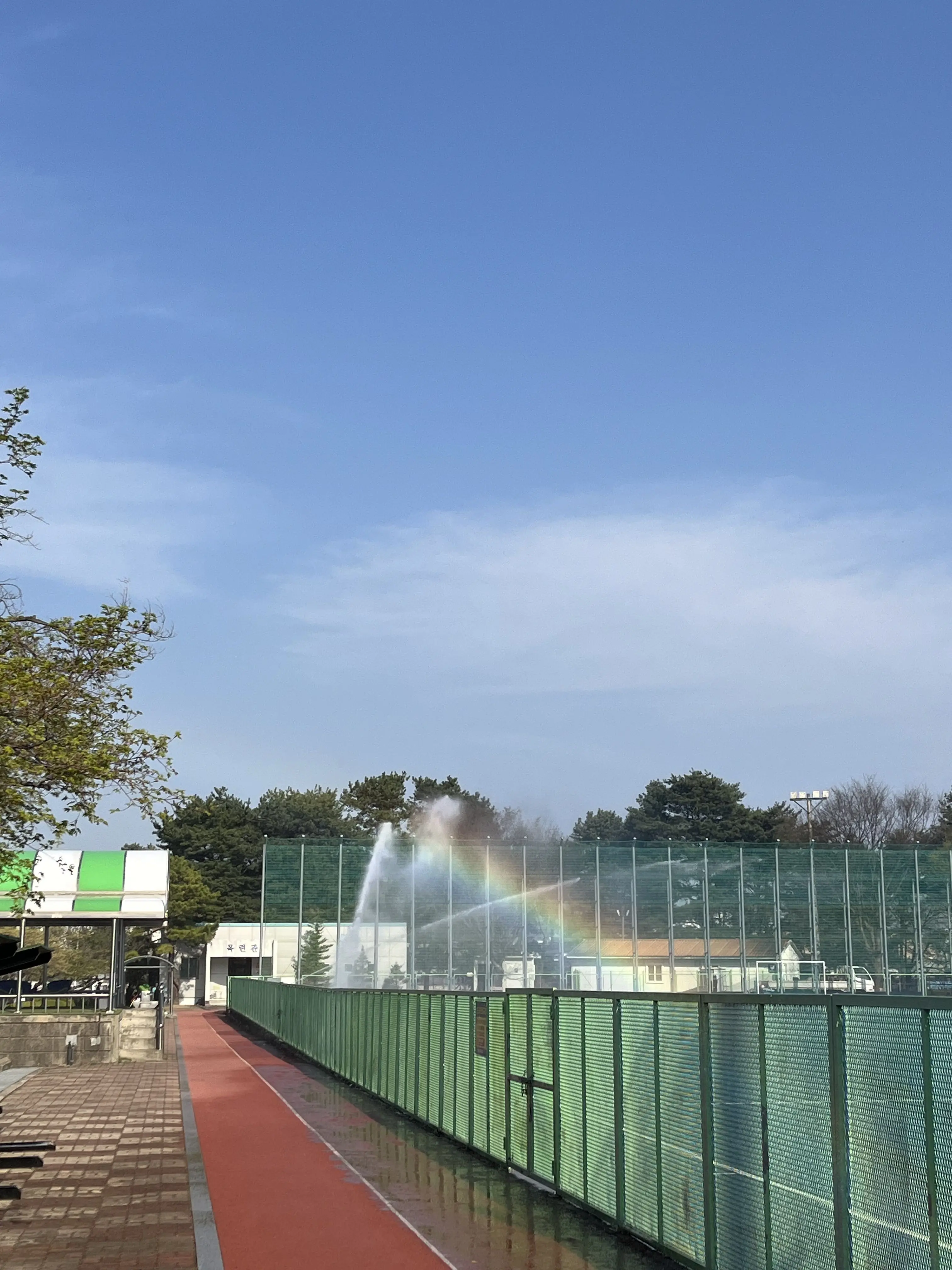 CloseMango6388의 아카데미 교수